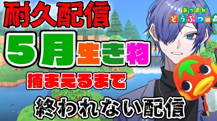 【#耐久配信  】あつ森5月の生き物捕り終わるまで終わらない配信 #あつまれどうぶつの森  #雑談配信