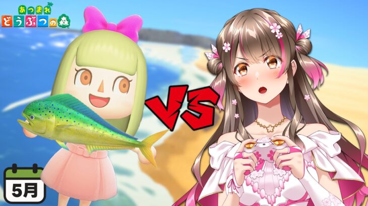 【あつ森】5月の夜の魚を全て捕まえるまで終われません【あつまれどうぶつの森】