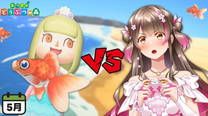 【あつ森】5月に釣れる「昼限定の魚」を全て釣るまで終われません！【あつまれどうぶつの森】