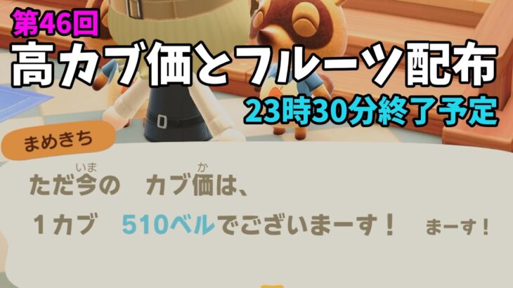 【あつ森】カブ価510ベルと全種フルーツを配布！まったりカブ活初心者歓迎