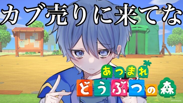 【あつ森】　カブ価 523ベルでた # 30