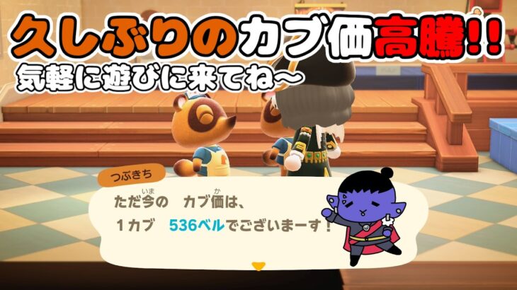 【あつ森】カブ価536ベル！みんな遊びにおいで～【ACNH】