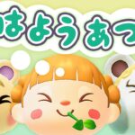 ゴールデンウィーク！朝活🐓おはようあつ森！5/5(火)