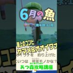 6月の魚 #あつ森オオイワナ＃あつ森釣り＃あつ森初心者 #あつ森攻略講座