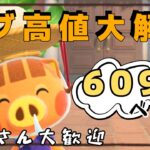 【あつ森実況】カブ活！最大609ベル！参加型！【初見さん歓迎！】