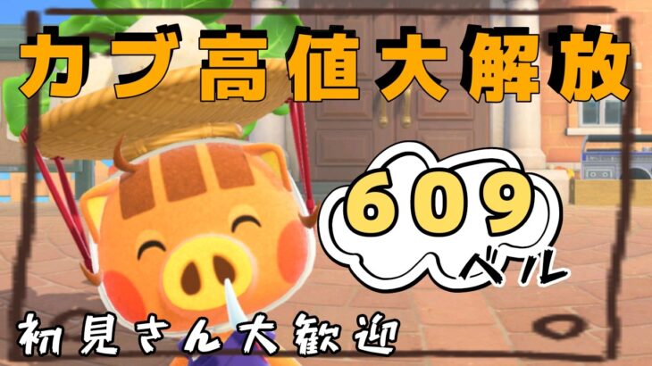 【あつ森実況】カブ活！最大609ベル！参加型！【初見さん歓迎！】