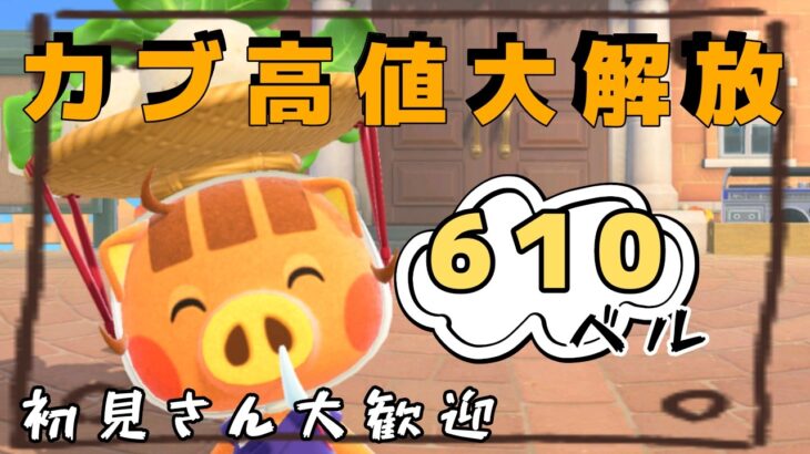 【あつ森実況】カブ活！最大610ベル！参加型！【初見さん歓迎！】