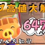 【あつ森実況】カブ活！最大647ベル！参加型！【初見さん歓迎！】