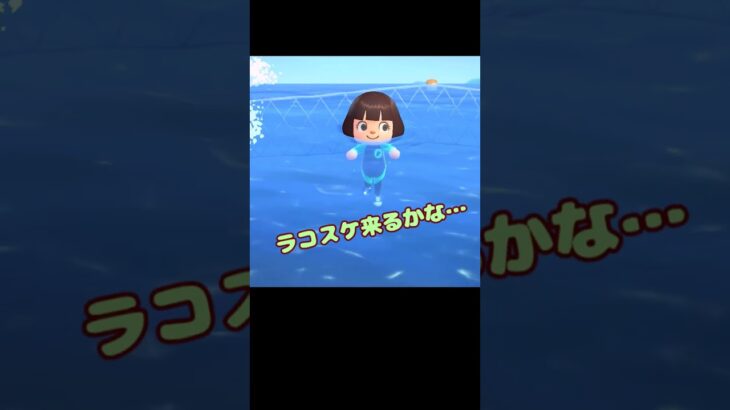 今日のラコスケ＃67「魔法もいろいろ…？」2選【あつ森】#shorts