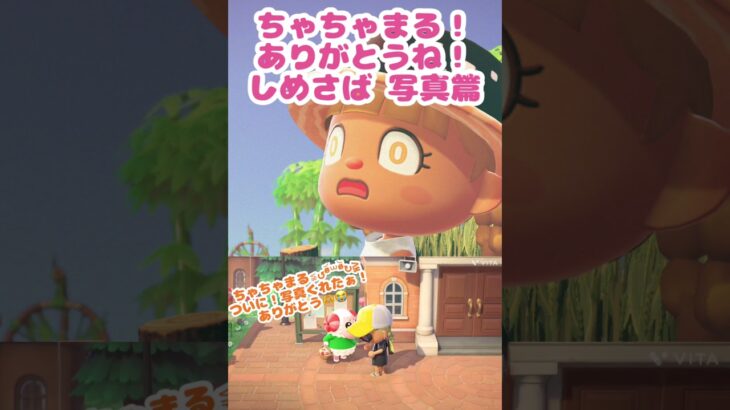 あつ森開始72日後に来た君！写真ありがとう！