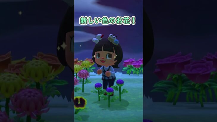 【嬉しい！】新しい色のお花のつぼみ！/あつ森　#75