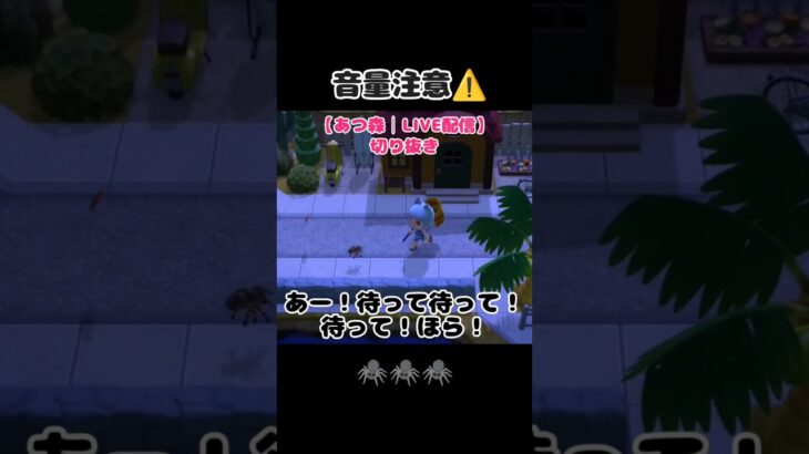 【あつ森】7年目の虫取り！ハチ🐝タランチュラ🕷️vsちみ🐰💗[配信切り抜き] #あつ森 #あつまれどうぶつの森 #どうぶつの森  #animalcrossing  #acnh #ゲーム実況