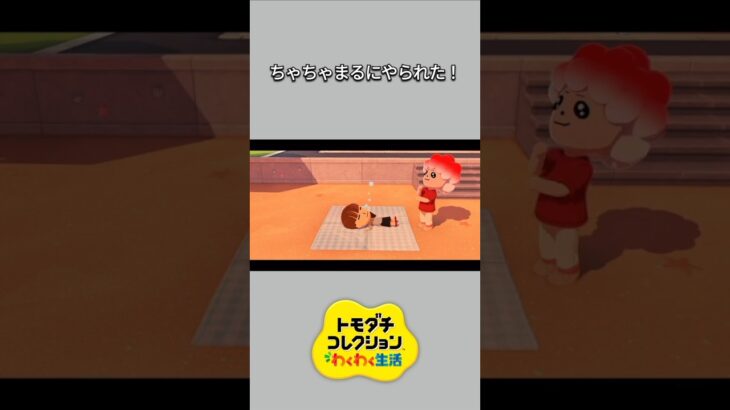 【トモコレ】ちゃちゃまるにイタズラされた！【あつ森】【トモダチコレクションわくわく生活】【ACNH】 #short