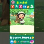 【あつ森】知らないって…幸せかも🤔🤣 #どうぶつの森 #AnimalCrossing #ACNH #NintendoSwitch #NintendoSwitch2