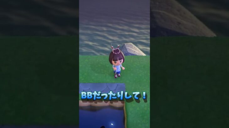 🔵【あつ森】ついにピラルク成功！ #あつもり #あつまれどうぶつの森#AnimalCrossing #fishing