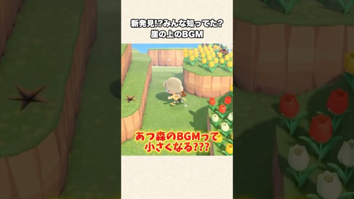 【あつ森】これ気づいた人天才！崖の上のBGMの秘密【あつまれどうぶつの森】#shorts #あつ森