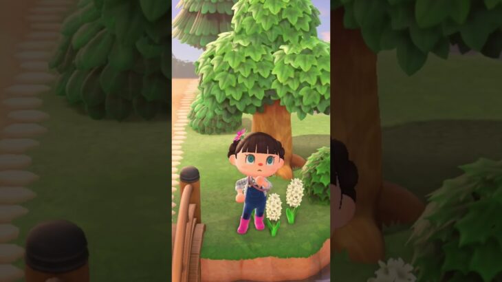 Day 176 • #acnh #animalcrossing #animalcrossingnewhorizons #cozygames #nintendo #nintendoswitch