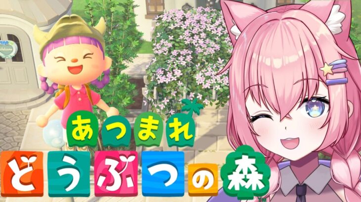 【あつ森/島クリ】自宅周りを「最高の癒し空間」に作り変えにゃ！！：Day２【銀河大帝ニャルラ】