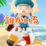 【あつ森】かいぞくのおたからをGET・・？！ #shorts #あつ森 #あつまれどうぶつの森 #かいぞく