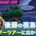 【後藤の夜あつ森】GWも配信見にきてください