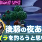 【後藤の夜あつ森】GWはいかがお過ごしですか