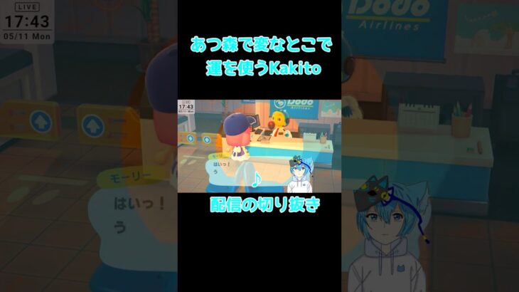 【切り抜き】あつ森で謎の運を見せてしまったKakito　#あつ森 #shorts