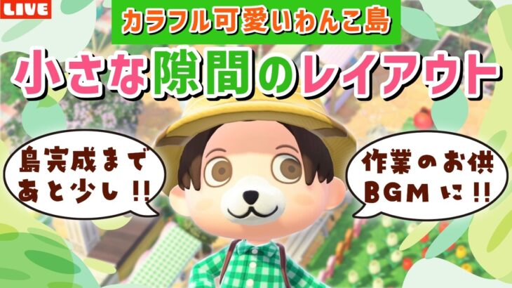 【あつ森】家事や作業のお供に！わんこ島の隙間をのんびり埋めるLIVE配信【あつまれ どうぶつの森】