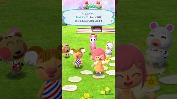 ポケ森あつ森Lv.231    メルンボンがキャンプ場に遊びに来るようになったよ！
