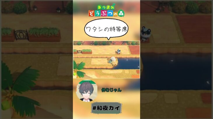 ワタシの特等席【あつ森（切り抜き）】【和夜カイ/Nagoya Kai/vtuber】