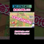 OBには眩しい！！#あつ森 #ゲーム実況 #あつまれどうぶつの森