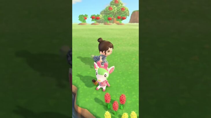 あつ森🌳連休明け、スイッチON！40代ママの朝活記録✨