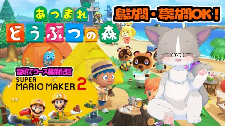 【🌟あつ森配信初OPマリメ2のコース募集あり】OPコース募集受付は14:00まで、久しぶりの昼配信！『あつまれ どうぶつの森』