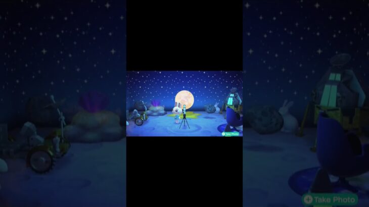 Ruby Admires the Moon | #animalcrossingnewhorizons #acnh #acnhdlc #shorts