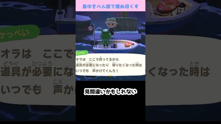 【あつ森】≪島中を💰≫　SSR