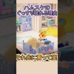 ハムスケの安眠理由が衝撃だった笑【あつ森】 #Shorts #あつ森