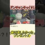 この傘、ドンチャンにそっくり！笑【あつ森】 #Shorts #あつ森