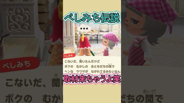 ぺしみちのウワサ、盛られすぎてる笑【あつ森】 #Shorts #あつ森