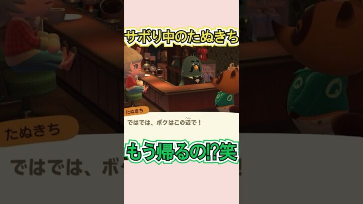 たぬきち、仕事忘れてないよね？笑【あつ森】 #Shorts #あつ森