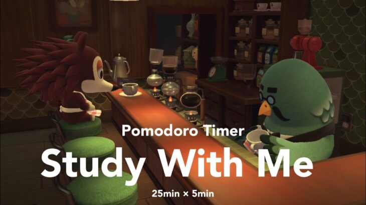 【Study With Me 】あつ森の喫茶店「ハトの巣」で深夜に一緒に集中作業・勉強しよう☕️ | ポモドーロタイマー(25/5)付き | カフェBGM