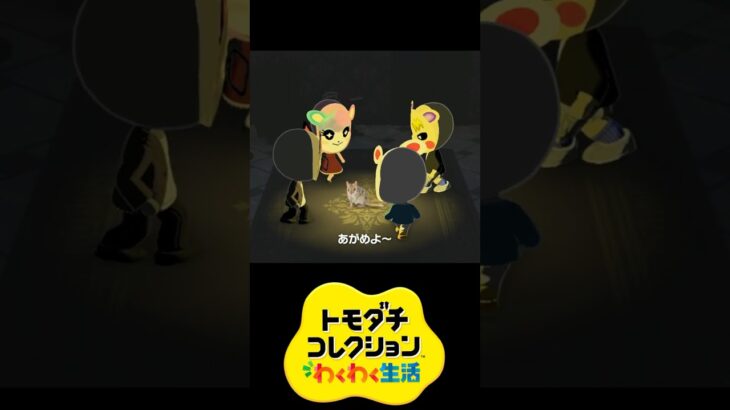 あつ森住民の怪しげな儀式【トモコレ/Tomodachi Life】 #funny