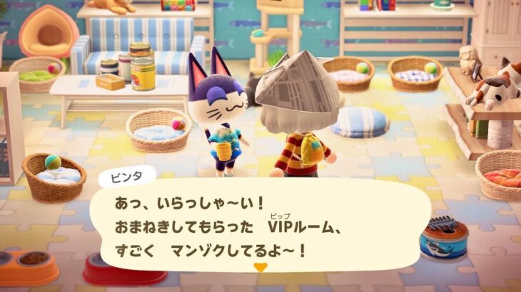 【あつ森】【ホテル】ビンタくんの猫と泊まれるVIPルームへご招待！！　【あつまれどうぶつの森】