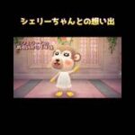 🔵【あつ森】素敵なゲーム体験再び｜懐かしいシェリーとの再会｜アップデートVer.3.0｜#あつ森