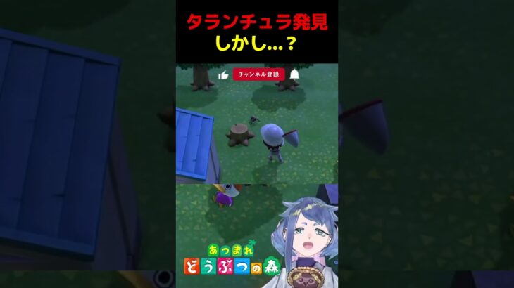 タランチュラ発見！発見したんだけどね…泣【 #あつ森 】#Vtuber #個人vtuber #あつまれどうぶつの森 #あつ森実況