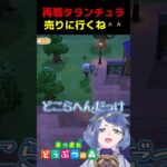 再戦タランチュラ！売りに行くね。【 #あつ森 】#Vtuber #個人vtuber #あつまれどうぶつの森 #あつ森実況