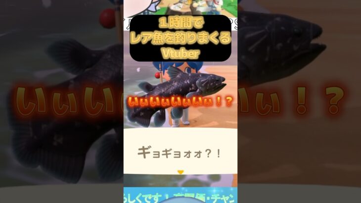 【あつ森】レア魚を釣りまくるVtuberが草すぎた件！？#stpr #vtuber #ゲーム実況 #あつ森 #shorts
