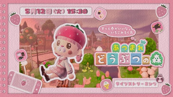 【 #あつ森 】 ぴんくでいっぱいの島🍓 #どう森 / #acnh
