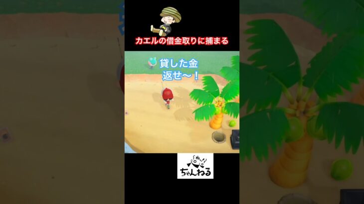 【あつ森】このレイニー、実は借金取りです。 #ねっぺぺちゃんねる #ゲーム実況 #あつ森 #レイニー　#acnh
