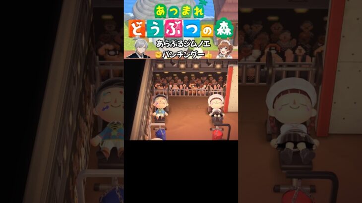 【あつ森】あらぶるジムノエパンチングー #あつ森 #acnh #あつまれどうぶつの森 #animalcrossing #shorts
