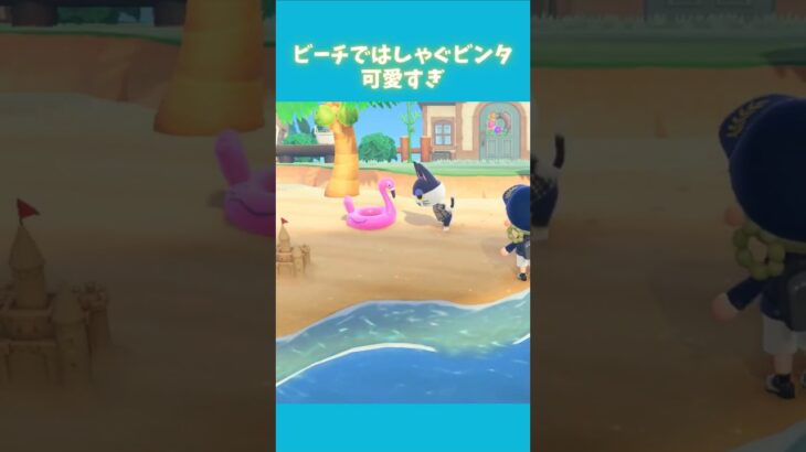 何でも買ってあげたくなる #acnh #あつ森 #あつまれどうぶつの森#どうぶつの森 #ゲーム #animalcrossingnewhorizons #animalcrossing
