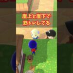 なぜそこ?! #acnh #あつ森 #あつまれどうぶつの森#どうぶつの森 #ゲーム #animalcrossingnewhorizons #animalcrossing #shorts